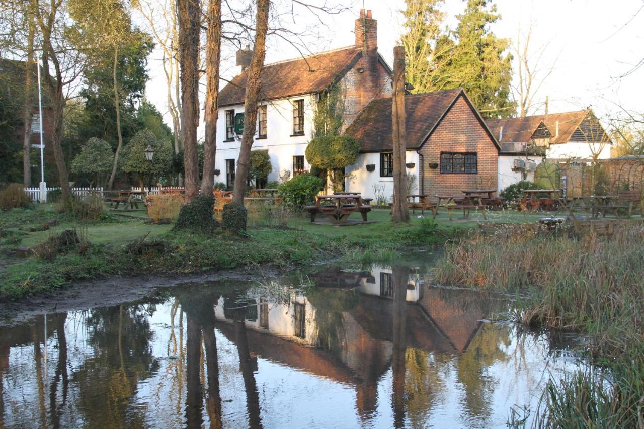 Lane End Cottage Ovington  Εξωτερικό φωτογραφία