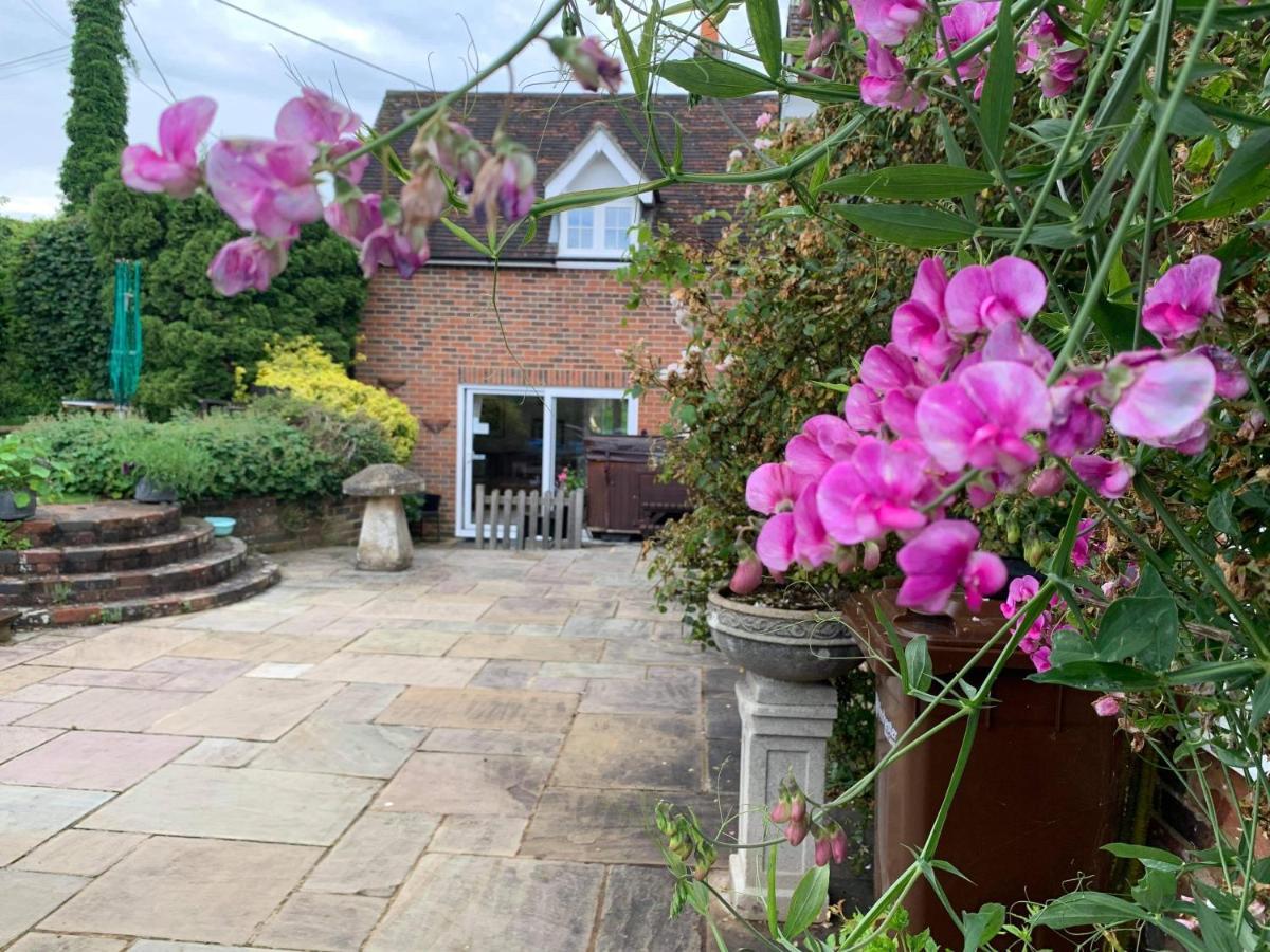 Lane End Cottage Ovington  Εξωτερικό φωτογραφία