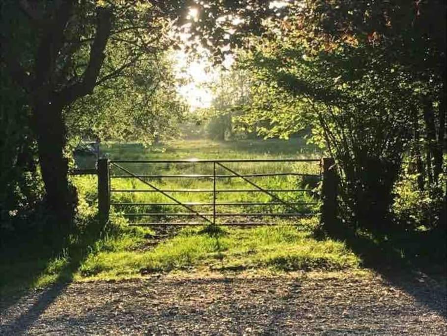 Lane End Cottage Ovington  Εξωτερικό φωτογραφία